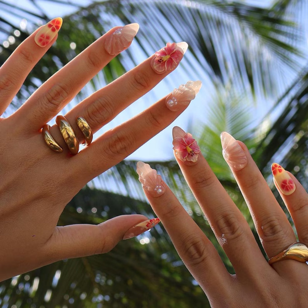 3D Shell & Flower